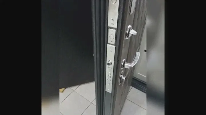 Входная дверь Троя серебро Палисандр