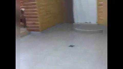 Лесная заимка